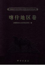 新疆维吾尔自治区第三次全国文物普查成果集成 喀什地区卷