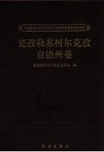 新疆维吾尔自治区第三次全国文物普查成果集成 克孜勒苏柯尔克孜自治州卷