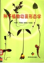 种子植物幼苗形态学