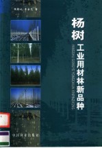 杨树工业用材林新品种