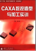 CAXA数控造型与加工实训