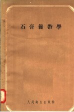 石膏绷带学