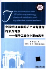 中国经济面临的矿产资源能源约束及对策 基于工业化中期的思考