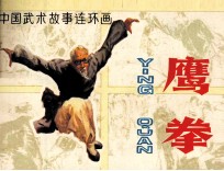 中国武术故事连环画 鹰拳