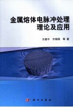 金属熔体电脉冲处理理论及应用