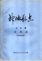 神池县志 文化编 文化志 征求意见稿