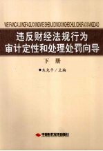 违反财经法规行为审计定性和处理处罚向导