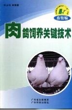 肉鸽饲养关键技术