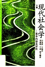 现代社会学 基本内容及评析 下