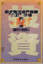 湖北固定资产投资 “九五”计划与四十六年统计资料