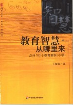 教育智慧从哪里来  点评100个教育案例  小学