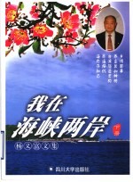 我在海峡两岸：杨义富文集 下