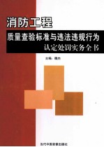 消防工程质量查验标准与违法违规行为认定处罚实务全书 第2卷