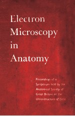 Electron microscopy in anatomy