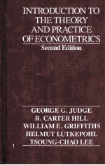 Introduction to the theory and practice of econometrics