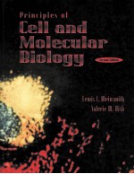 PRINCIPLES OF CELL AND MOLECULAR BIOLOGY  SECOND EDITION