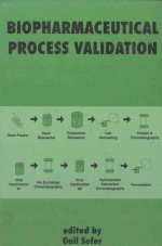 Biopharmaceutical process validation