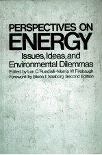 PERSPECTIVES ON ENERGY ISSUES