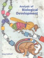 Analysis of biological development