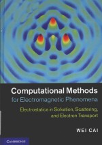 COMPUTATIONAL METHODS FOR ELECTROMAGNETIC PHENOMENA ELECTROSTATICS IN SOLVATION