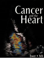 Cancer and the heart