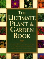 THE ULTIMATE PLANT & GARDEN BOOK