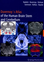 DUVERNOY'S ATLAS OF THE HUMAN BRAIN STEM AND CERCEBELLUM HIGH-FIELD:SURFACE ANATOMY