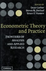 Econometric theory and practice frontiers of analysis and applied research