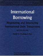 International borrowing negotiating and structuring international debt transactions second edition