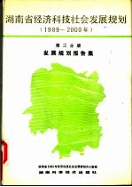 湖南省经济科技社会发展规划 1989-2000年 第3分册 发展规划报告集