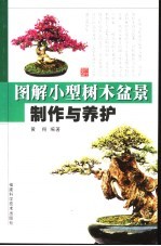 图解小型树木盆景制作与养护