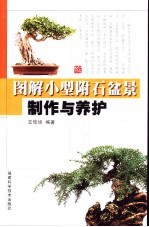 图解小型附石盆景制作与养护