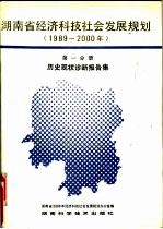 湖南省经济科技社会发展规划 1989-2000年 第1分册 历史现状诊断报告集