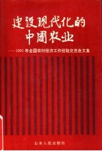 建设现代化的中国农业 1991年全国农村经济工作经验交流会文集