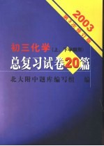 初三化学总复习试卷20篇 修订版