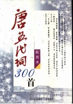 唐五代词300首 配图本