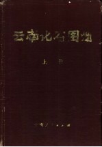 云南化石图册 上