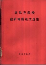 袁见齐教授盐矿地质论文选集