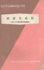 尿素合成塔  48万吨尿素引进装置