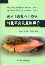 黄河下游复合污染物转化研究及监测评价