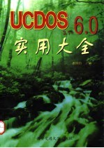 UCDOS 3.1-6.0实用大全