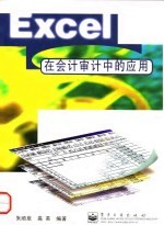 Excel在会计审计中的应用