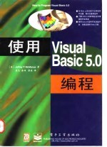 使用Visual Basic 5.0 编程