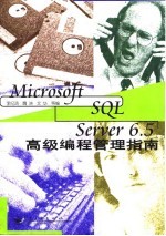 Microsoft SQL Server 6.5高级编程管理指南