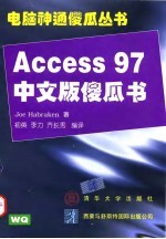 Access 97中文版傻瓜书