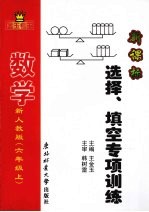 金玉考王 数学 选择、填空专项训练 六年级 上 新人教版