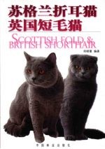 苏格兰折耳猫·英国短毛猫