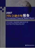 国际金融市场报告 中英文本 2007