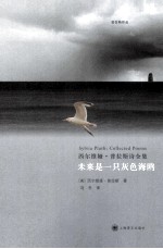 未来是一只灰色海鸥  西尔维娅  普拉斯诗全集  普拉斯作品