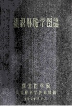 组织胚胎学图谱